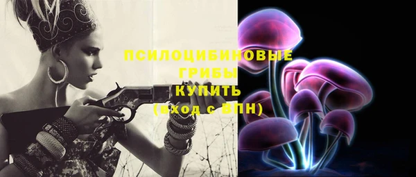СК Заводоуковск