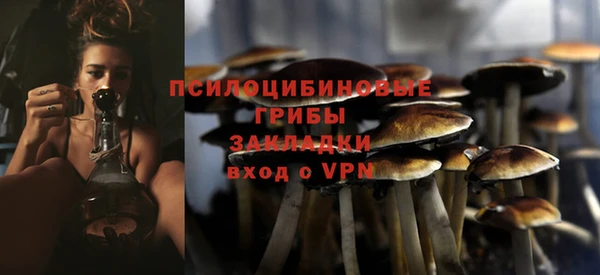 СК Заводоуковск
