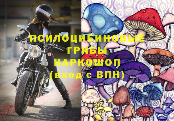 шишки Инта