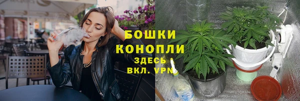 СК Заводоуковск