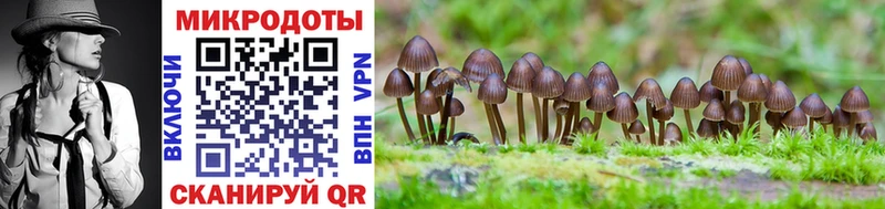 Галлюциногенные грибы мухоморы  Купить  Горячий Ключ 
